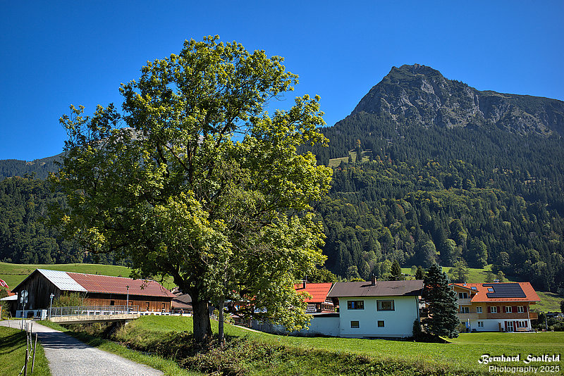 Bernhard Saalfeld - Fischen Rubi (5v9)